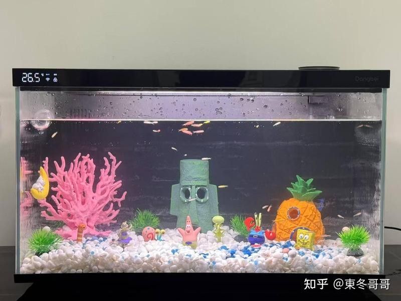 推薦幾款性價比高的龍魚缸：2025年高性價比龍魚缸品牌排行榜京東龍魚缸排行榜