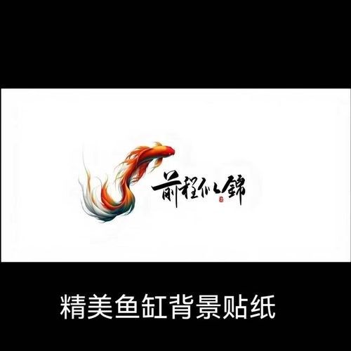 如何選擇適合紅龍魚的魚缸背景紙：養紅龍魚用什么顏色底板和背景色 如何選擇適合紅龍魚的魚缸背景紙：養紅龍魚用什么顏色底板和背景色 龍魚百科 第5張