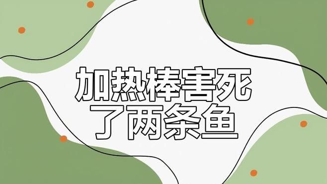 如何正確使用加熱棒養龍魚：原龍工作室-將軍、巴婁