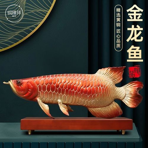 金龍魚擺件保養時需要注意什么：金龍魚擺件保養方法