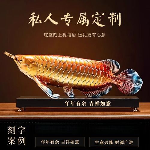 紅金龍魚的市場價格是多少？：紅金龍魚的市場價格 紅金龍魚的市場價格是多少？：紅金龍魚的市場價格 龍魚百科 第10張