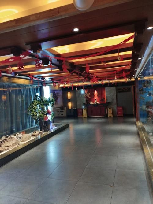 水城哪個水族館龍魚好？祥龍魚場龍魚：城哪個水族館的龍魚好廣州龍魚祥龍魚場是一個值得一游的水族世家