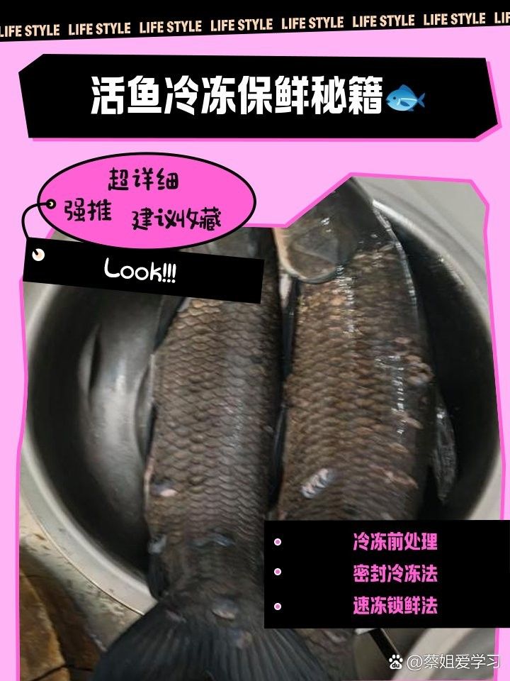 活飼料魚冷凍保存方法：家庭主廚黃小哥，活魚冷凍保鮮秘籍