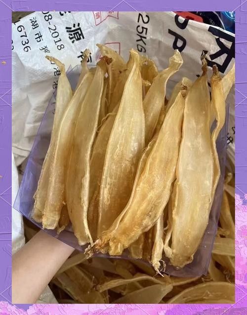如何保養大金龍魚膠：保養大金龍魚膠的方法