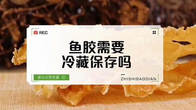 如何保養大金龍魚膠：保養大金龍魚膠的方法