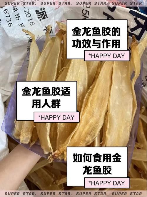 如何保養大金龍魚膠：保養大金龍魚膠的方法