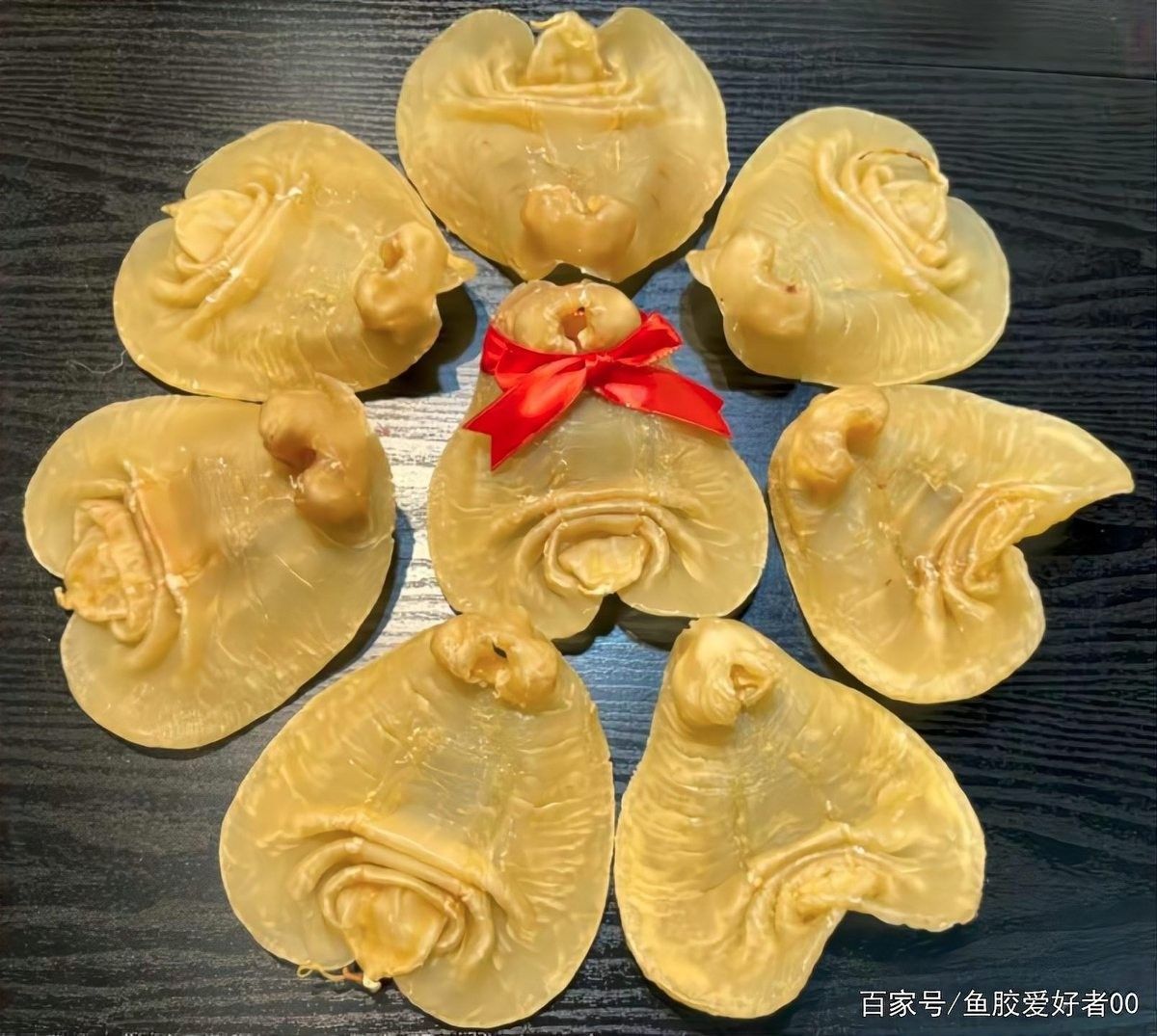 如何保養大金龍魚膠：保養大金龍魚膠的方法