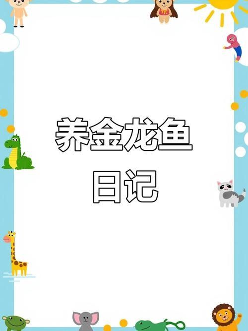 如何設置金龍魚苗的光照時長：金龍魚的光照時長如何設置？