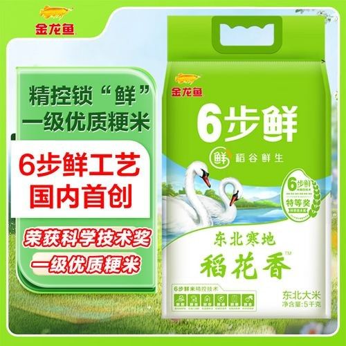 金龍魚批發價格有優惠嗎：金龍魚批發價格是否有優惠