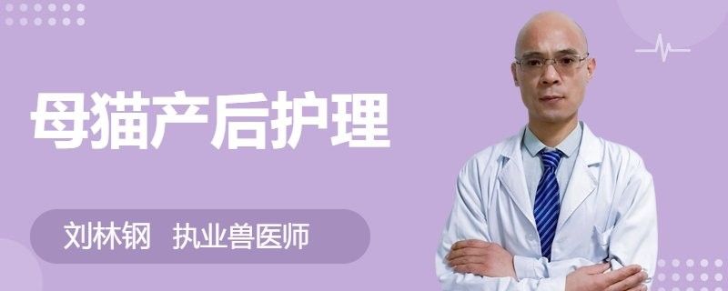 龍貓產后多久可以洗澡？：龍貓產后多久可以洗澡