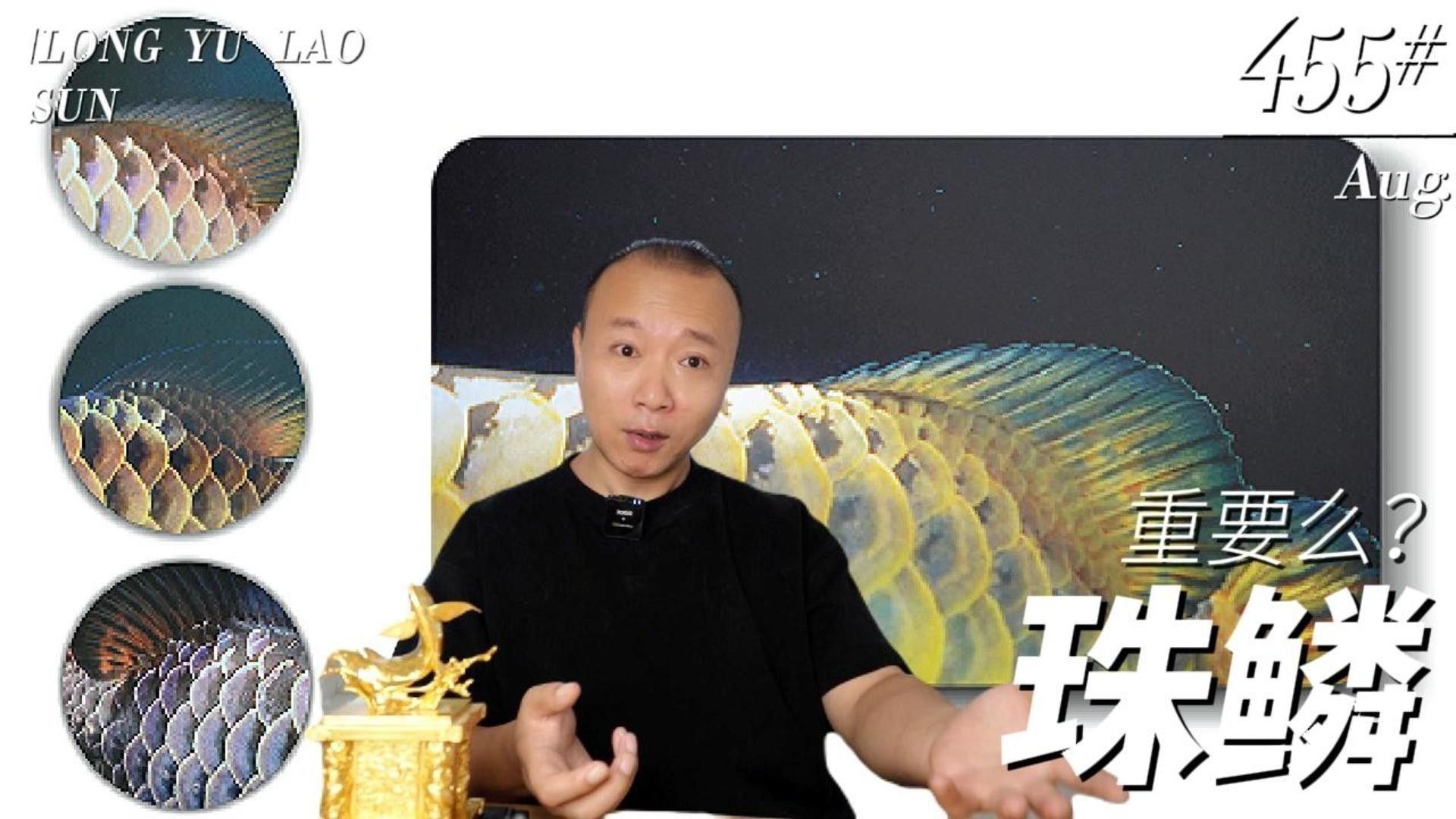 如何判斷過背金龍魚苗的珠鱗是否完整：判斷過背金龍魚苗珠鱗是否完整需綜合以下特征 如何判斷過背金龍魚苗的珠鱗是否完整：判斷過背金龍魚苗珠鱗是否完整需綜合以下特征 龍魚百科 第3張