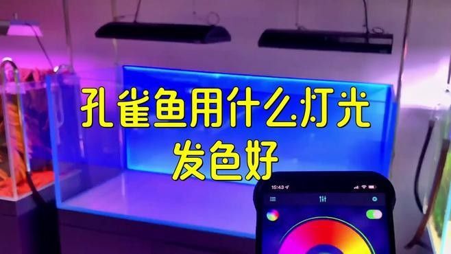 孔雀龍魚如何發色？：孔雀魚的發色機制