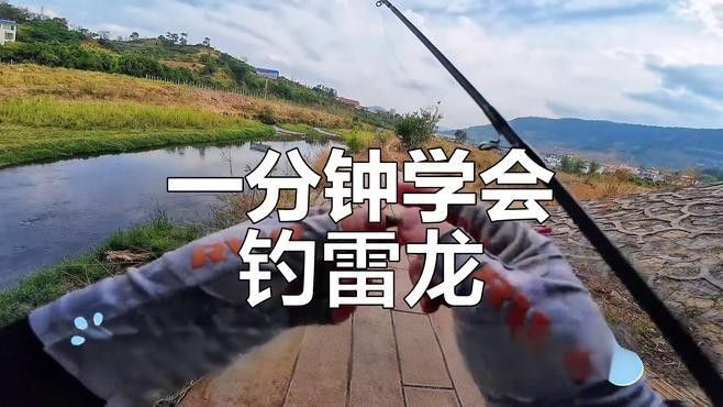 雷龍魚的最佳釣法：小水釣魚雷龍路亞新手必學(xué)技巧一分鐘搞定小潤(rùn)肌手記 雷龍魚的最佳釣法：小水釣魚雷龍路亞新手必學(xué)技巧一分鐘搞定小潤(rùn)肌手記 龍魚百科 第7張