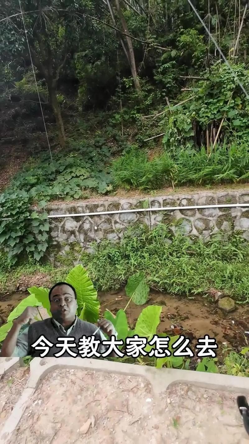雷龍魚的最佳釣法：小水釣魚雷龍路亞新手必學(xué)技巧一分鐘搞定小潤(rùn)肌手記 雷龍魚的最佳釣法：小水釣魚雷龍路亞新手必學(xué)技巧一分鐘搞定小潤(rùn)肌手記 龍魚百科 第3張