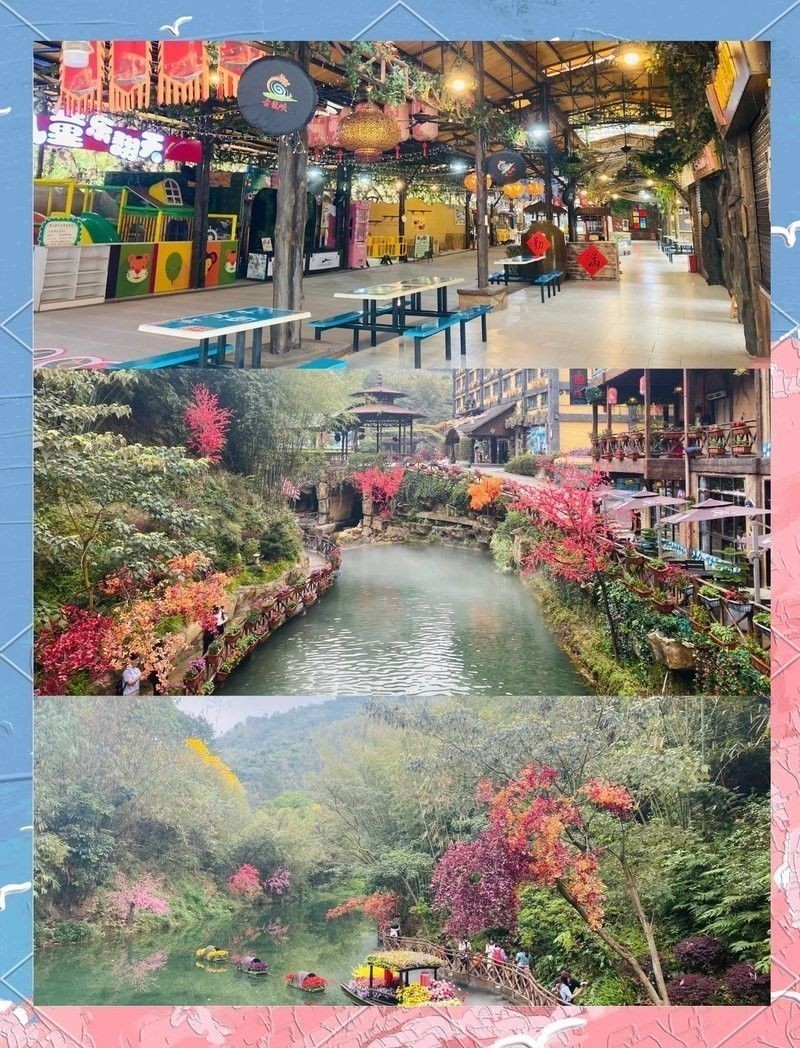 給我提供古龍魚莊的詳細地址：古龍漁莊的聯系方式是什么 給我提供古龍魚莊的詳細地址：古龍漁莊的聯系方式是什么 龍魚百科 第4張