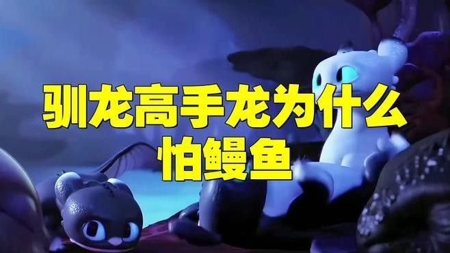 哪些工具魚會攻擊曼龍？：愛養love寵物，主動攻擊其他魚類的幾種常見觀賞魚 哪些工具魚會攻擊曼龍？：愛養love寵物，主動攻擊其他魚類的幾種常見觀賞魚 龍魚百科 第1張