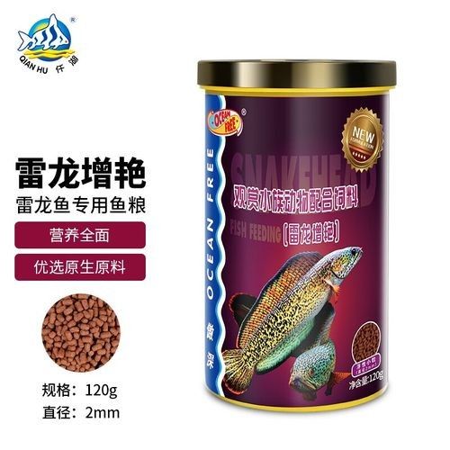 雷龍魚吃什么品牌的飼料好：雷龍魚飼料怎么選擇