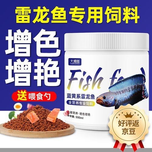雷龍魚吃什么品牌的飼料好：雷龍魚飼料怎么選擇