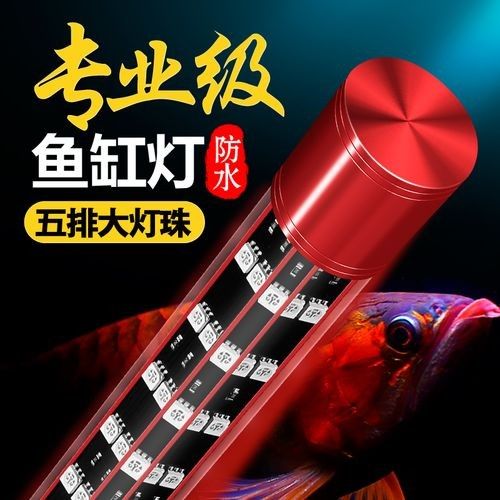 金龍魚專用燈哪個品牌最好：選擇金龍魚專用燈應考慮哪些因素