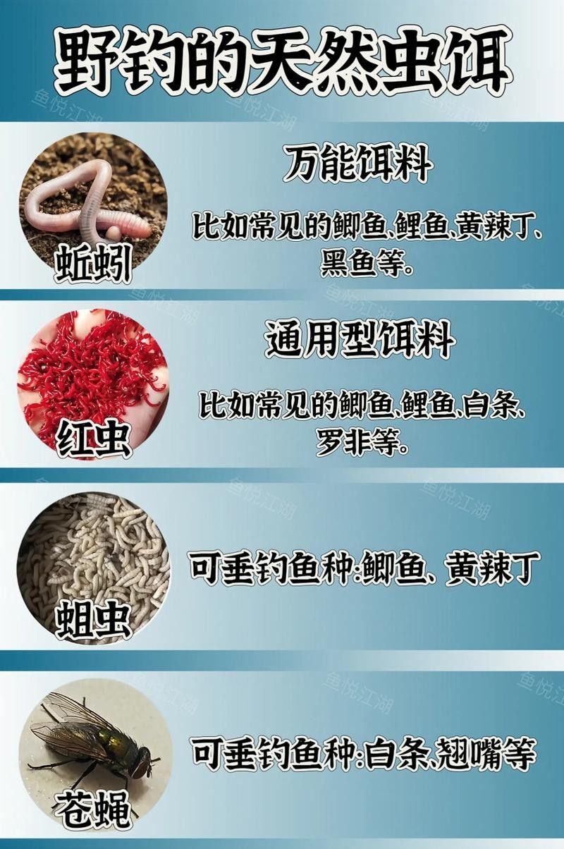 如何確保活餌無寄生蟲？：如何確保活餌無寄生蟲