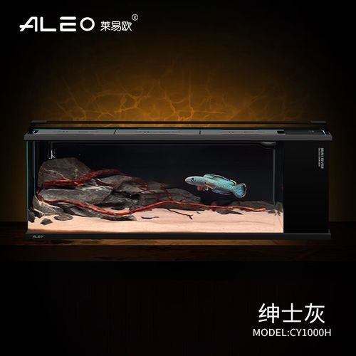 雷龍魚缸需要哪些關鍵配置？：雷龍魚缸關鍵配置