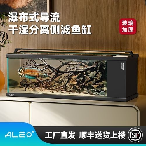 雷龍魚缸需要哪些關鍵配置？：雷龍魚缸關鍵配置
