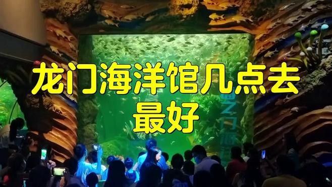 鳳岡哪個水族館龍魚好？祥龍魚場龍魚：鳳岡哪個水族館祥龍魚場 鳳岡哪個水族館龍魚好？祥龍魚場龍魚：鳳岡哪個水族館祥龍魚場 龍魚百科 第7張