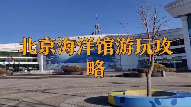 鳳岡哪個水族館龍魚好？祥龍魚場龍魚：鳳岡哪個水族館祥龍魚場 鳳岡哪個水族館龍魚好？祥龍魚場龍魚：鳳岡哪個水族館祥龍魚場 龍魚百科 第8張