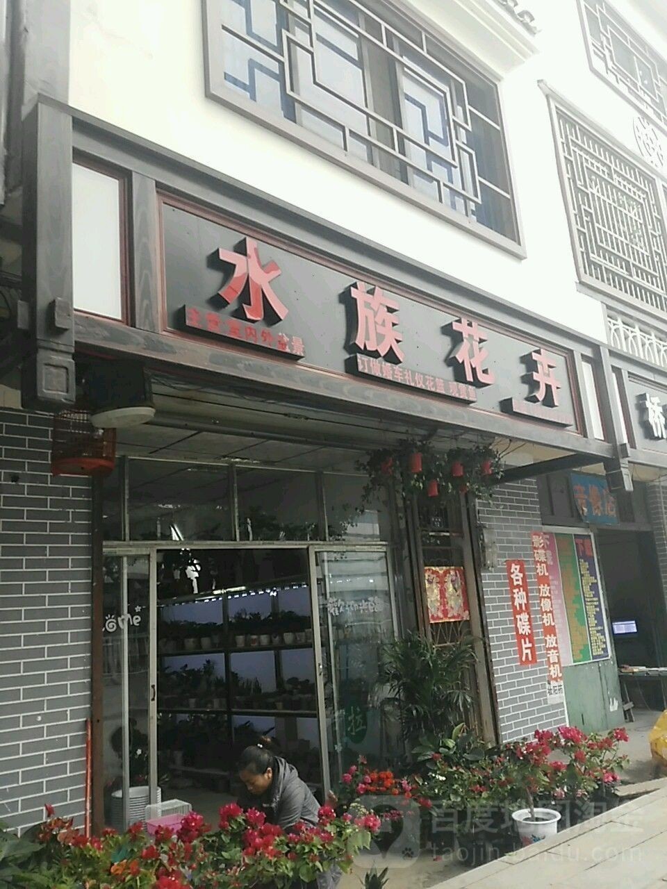 環江哪個水族館龍魚好？祥龍魚場龍魚：廣西水族花卉自治縣水族館——祥龍魚場