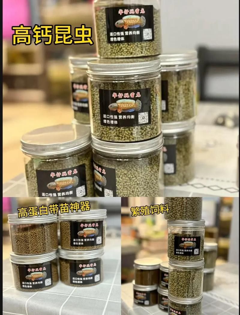 雷龍魚飼料的價格范圍：雷龍魚飼料價格范圍