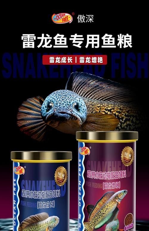 雷龍魚飼料的價格范圍：雷龍魚飼料價格范圍