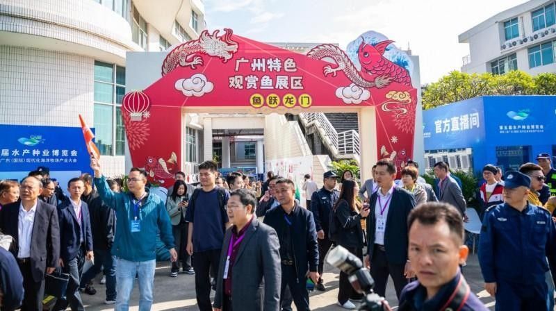 金龍魚的人工繁育歷史：金龍魚的人工繁育歷史可以追溯到20世紀50年代 金龍魚的人工繁育歷史：金龍魚的人工繁育歷史可以追溯到20世紀50年代 龍魚百科 第4張