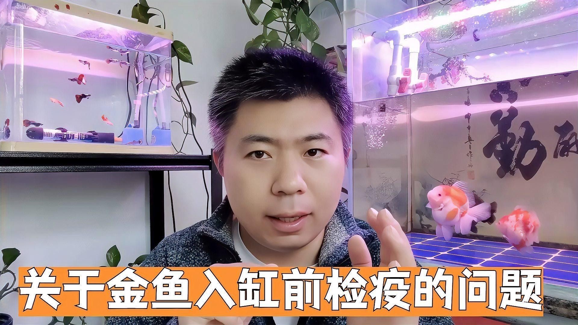 如何合法進口大湖紅龍魚？：如何合法進口大湖紅龍魚 如何合法進口大湖紅龍魚？：如何合法進口大湖紅龍魚 龍魚百科 第2張