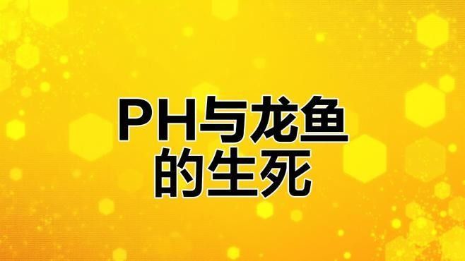 龍魚對水質波動有多敏感？：關于龍魚對水質波動的詳細分析 龍魚對水質波動有多敏感？：關于龍魚對水質波動的詳細分析 龍魚百科 第1張