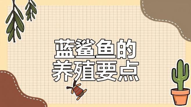 如何選擇適合混養的藍鯊魚：混養藍鯊魚需要注意什么？ 如何選擇適合混養的藍鯊魚：混養藍鯊魚需要注意什么？ 龍魚百科 第7張