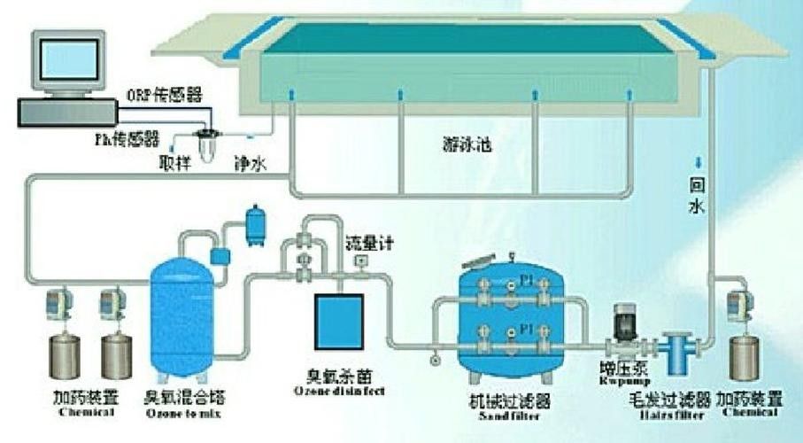 如何選擇適合混養的藍鯊魚：混養藍鯊魚需要注意什么？ 如何選擇適合混養的藍鯊魚：混養藍鯊魚需要注意什么？ 龍魚百科 第5張