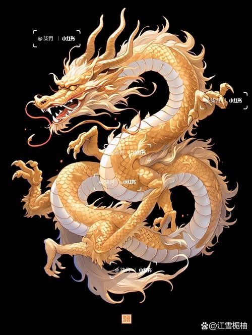 哪里可以找到3D立體金龍圖片：3d立體金龍圖片預覽，3d立體金龍圖片預覽組件
