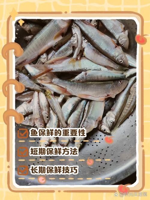 如何預防金龍魚腐爛？：金龍魚腐爛的預防方法