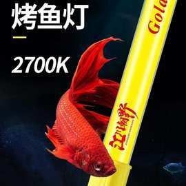 金龍魚燈管價格是多少？：龍魚燈管價格一般多少錢
