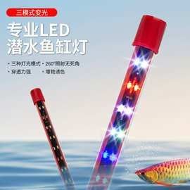 金龍魚燈管價格是多少？：龍魚燈管價格一般多少錢