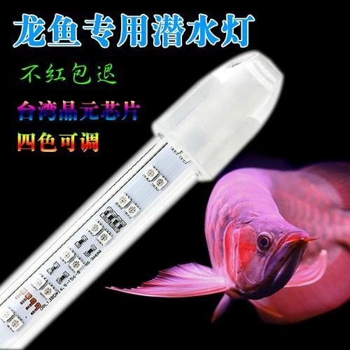 金龍魚燈管價(jià)格是多少？：龍魚燈管價(jià)格一般多少錢