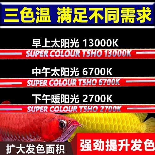 金龍魚燈管價格是多少？：龍魚燈管價格一般多少錢