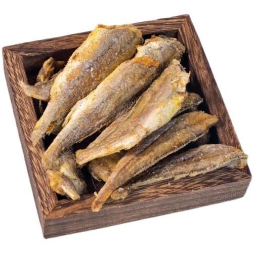 寧波龍魚批發(fā)市場的價格如何：關于寧波龍魚批發(fā)市場的價格分析