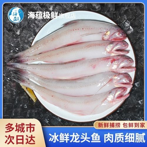 寧波龍魚批發(fā)市場的價格如何：關于寧波龍魚批發(fā)市場的價格分析