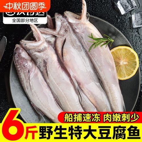 寧波龍魚批發(fā)市場的價格如何：關于寧波龍魚批發(fā)市場的價格分析