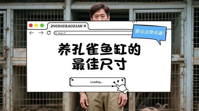 孔雀魚混養(yǎng)需要多大的魚缸？：孔雀魚混養(yǎng)的最佳尺寸是多少