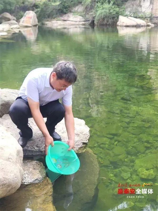 泰安龍魚批發(fā)有哪些品種：泰安地區(qū)龍魚批發(fā)市場 泰安龍魚批發(fā)有哪些品種：泰安地區(qū)龍魚批發(fā)市場 龍魚百科 第8張