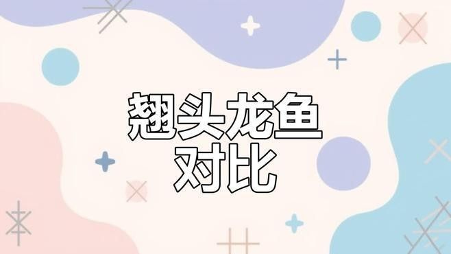 如何區(qū)分龍魚和翹嘴魚？：如何區(qū)分翹嘴魚和龍魚？