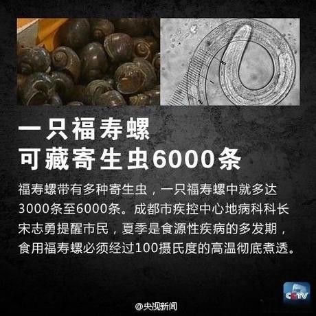 如何預防紅龍魚感染寄生蟲？：紅龍魚寄生蟲感染寄生蟲的10個關鍵措施，做好了你也是高手隨筆
