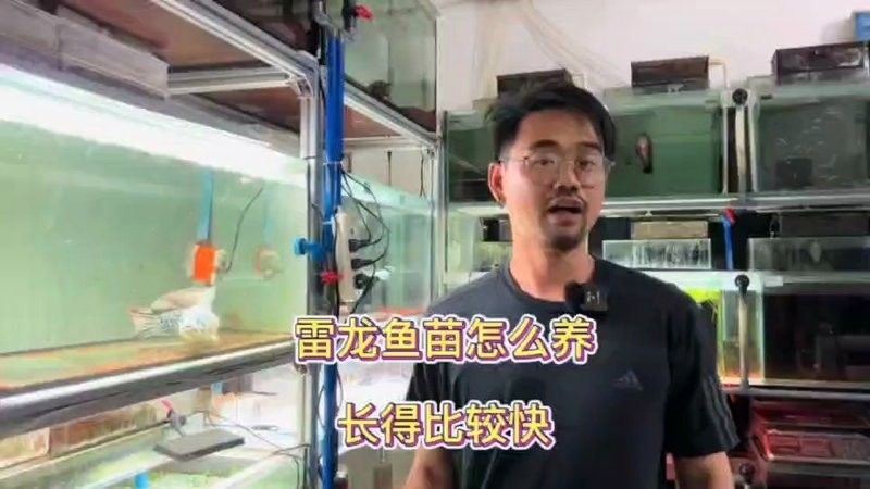 哪些人群適合食用五河龍魚，五河龍魚適合多種人群食用，適合高血壓患者的食用指南 哪些人群適合食用五河龍魚，五河龍魚適合多種人群食用，適合高血壓患者的食用指南 龍魚百科 第1張